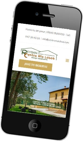 Diseño web responsive ReySan Centro Río Lobos Desarrollo web responsive ReySan Centro Río Lobos