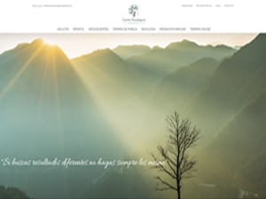 Desarrollo de páginas web en Valladolid