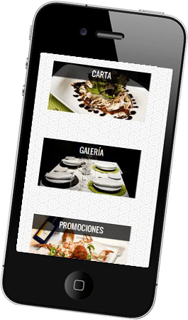 Diseño web responsive para la Viña de Patxi Desarrollo web para la Viña de Patxi