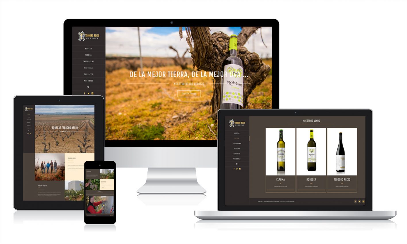 Desarrollo web para Bodega Tendoro Recio Desarrollo web para Bodegas Teodoro Recio