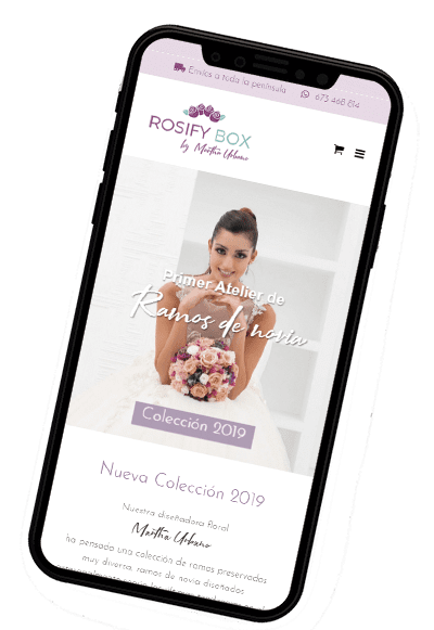 plantilla iphoneX rosify