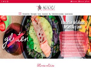 Desarrollo de página web