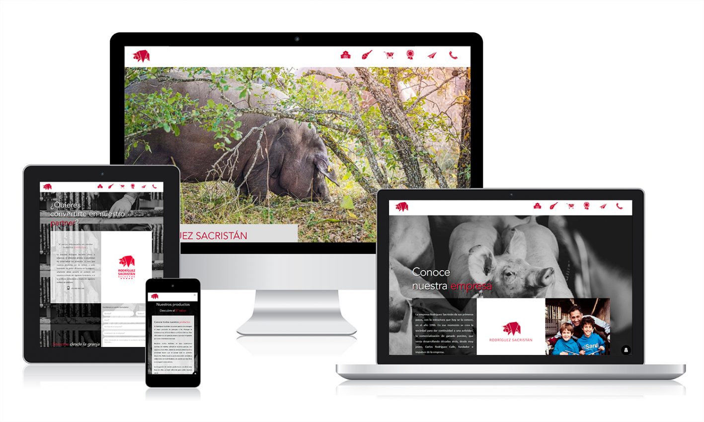 rodriguez sacristan responsive Desarrollo web en Valladolid para Rodriguez Sacristán
