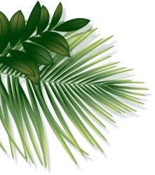 destacar-jungla-digital