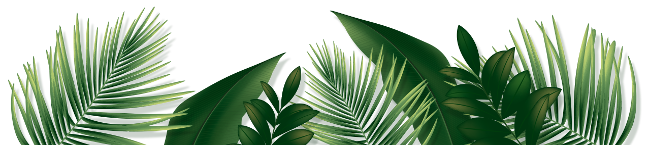 fondo-jungla-digital